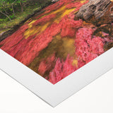 Art deco poster of a Colombian landscape in muted earth tones on rolled canvas, suitable for dining room decor.