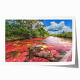 Extra large rolled print of a vibrant Colombian landscape with lush greenery and floral elements.
