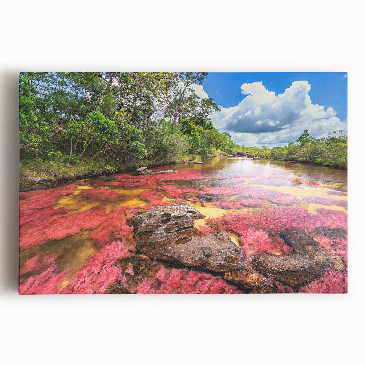 Black and white stretched canvas of a Colombian landscape, ideal for kitchen wall art.