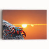 Black and white stretched canvas of Galapagos scenery, ideal for kitchen wall art.