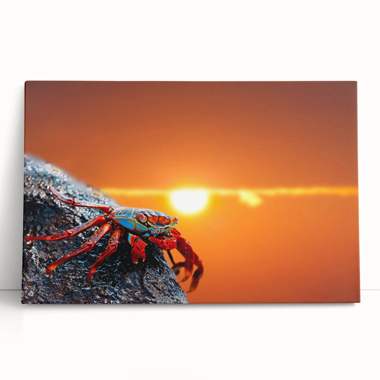 Black and white photograph of Galapagos scenery on stretched canvas, ideal for kitchen wall art.
