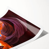 Extra large wall art featuring a line art design of flowers in muted earth tones on a rolled print.