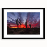 Extra large abstract art print of the Sonoran Desert, featuring vibrant, colorful textures on a framed black mat.