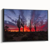 Black and white framed canvas of Sonoran Desert landscape, ideal for bedroom wall decor.