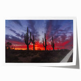 Extra large rolled print of the Sonoran Desert landscape in muted earth tones, ideal for art wall dining room.