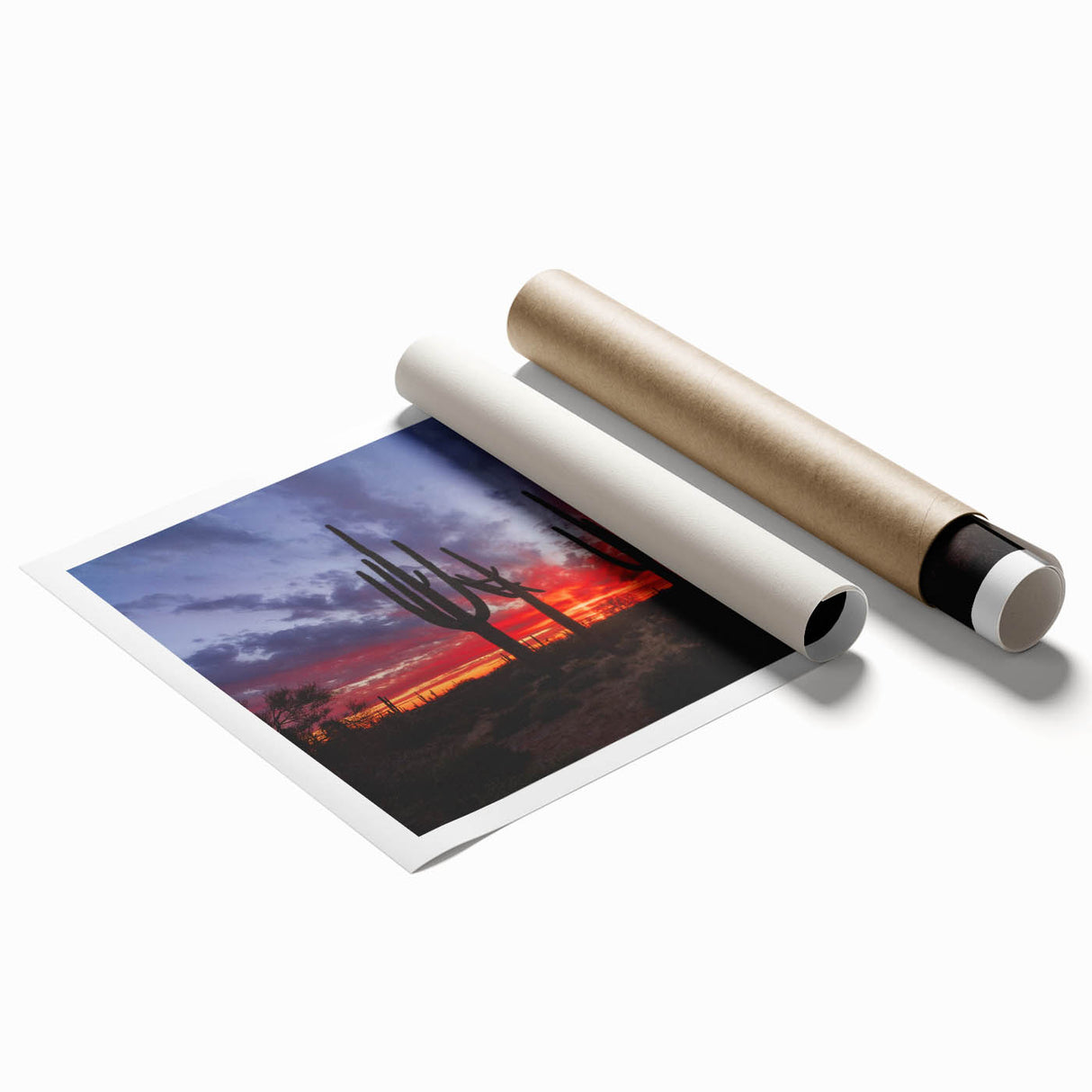 Extra large rolled canvas print of Arizona Sonoran desert with subtle floral elements in muted earth tones.