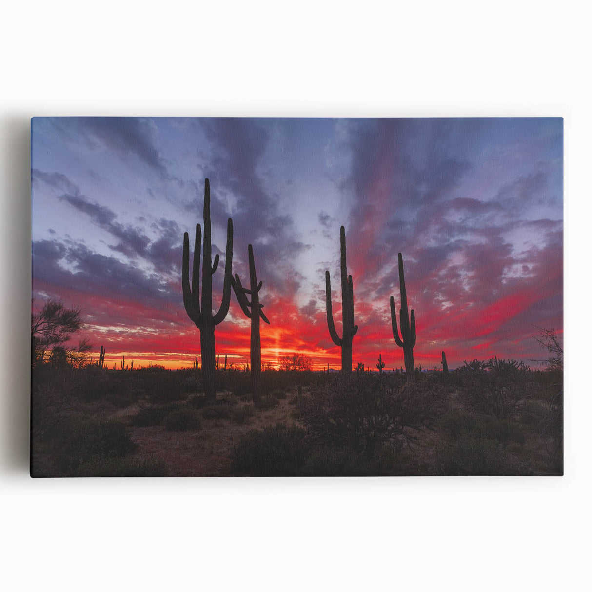 Black and white stretched canvas featuring the Sonoran Desert landscape, ideal for kitchen wall art.