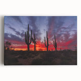 Black and white stretched canvas featuring the Sonoran Desert landscape, ideal for kitchen wall art.