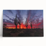 Black and white photograph of Sonoran Desert on stretched canvas, ideal for kitchen wall art or bedroom.