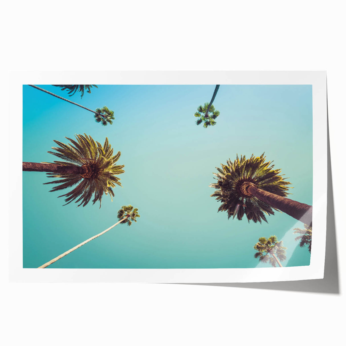 Rolled print of Beverly Hills scenery with lush greenery and soft pastel colors, ideal for art wall dining room.