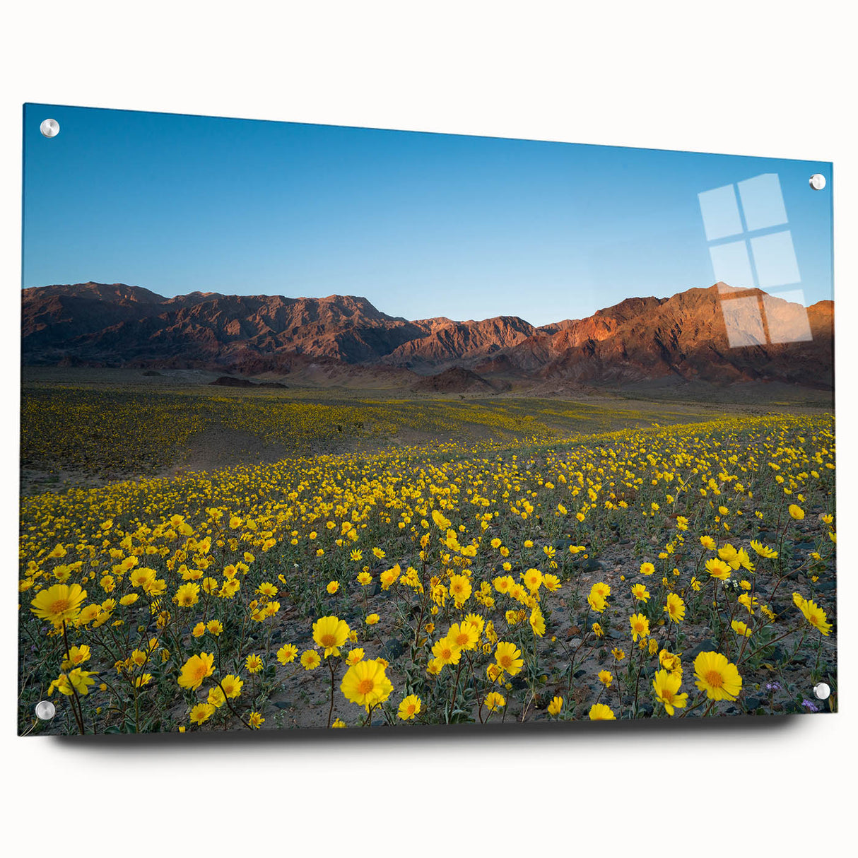 Large acrylic print of Death Valley scenery in earth tones, suitable for bedroom or dining room decor.