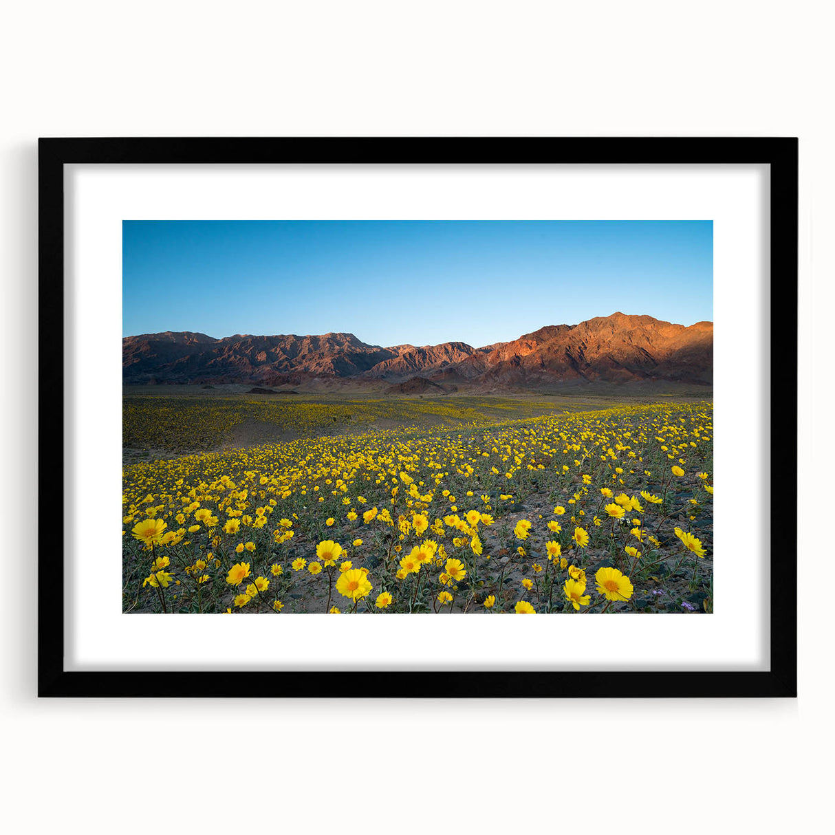 Abstract art print of Death Valley in vibrant colors on a textured, extra large canvas, framed in black.