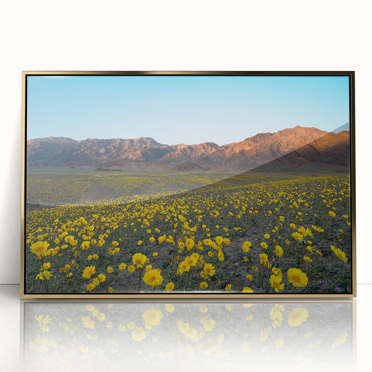 Mid-century modernist style large art print of Death Valley in muted earth tones, framed in gold acrylic.