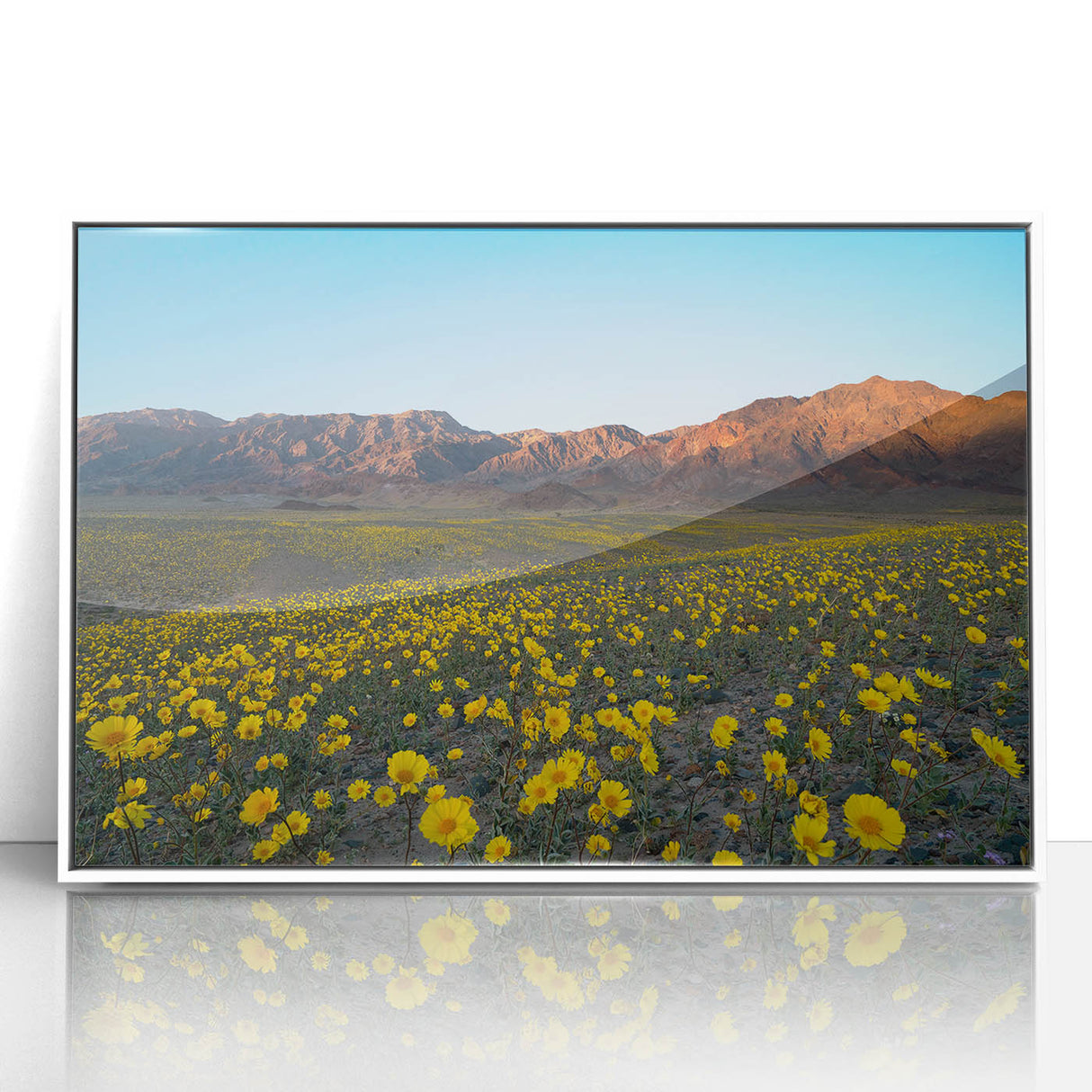 Acrylic print of Death Valley scene in muted earth tones, framed in white, suitable for modern art wall decor.