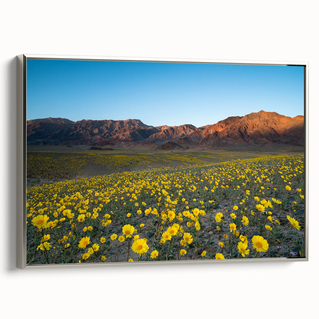 Framed canvas featuring a vintage-style landscape art painting of Death Valley in a palette of black and earth tones.