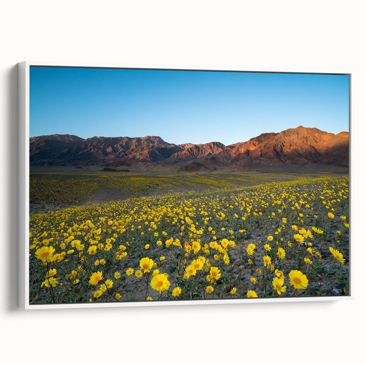 Vintage poster art of Death Valley in a white framed canvas, featuring a black and colorful palette.