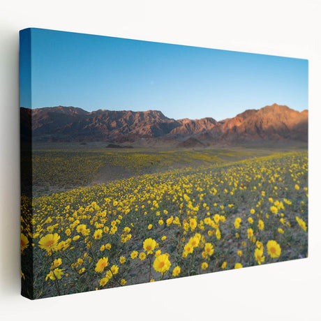 Large art print of Death Valley scenery on stretched canvas, showcasing earthy tones, ideal for kitchen wall art.