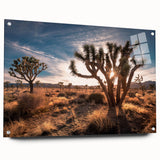 Joshua Tree landscape on large acrylic glass, featuring earthy tones, ideal for bedroom or dining room decor.
