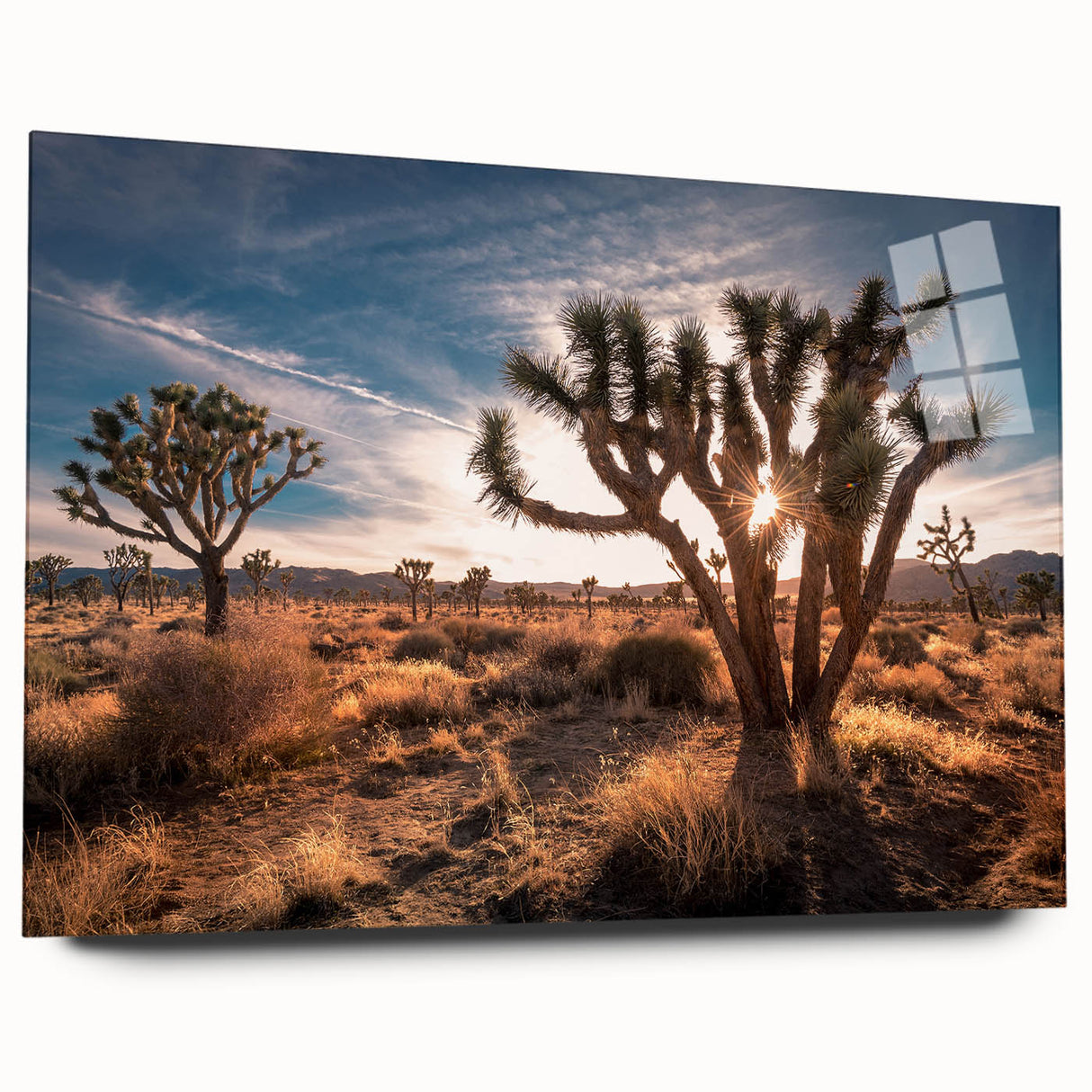 Large abstract wall art depicting Joshua Tree, in muted earth tones, printed on acrylic glass.