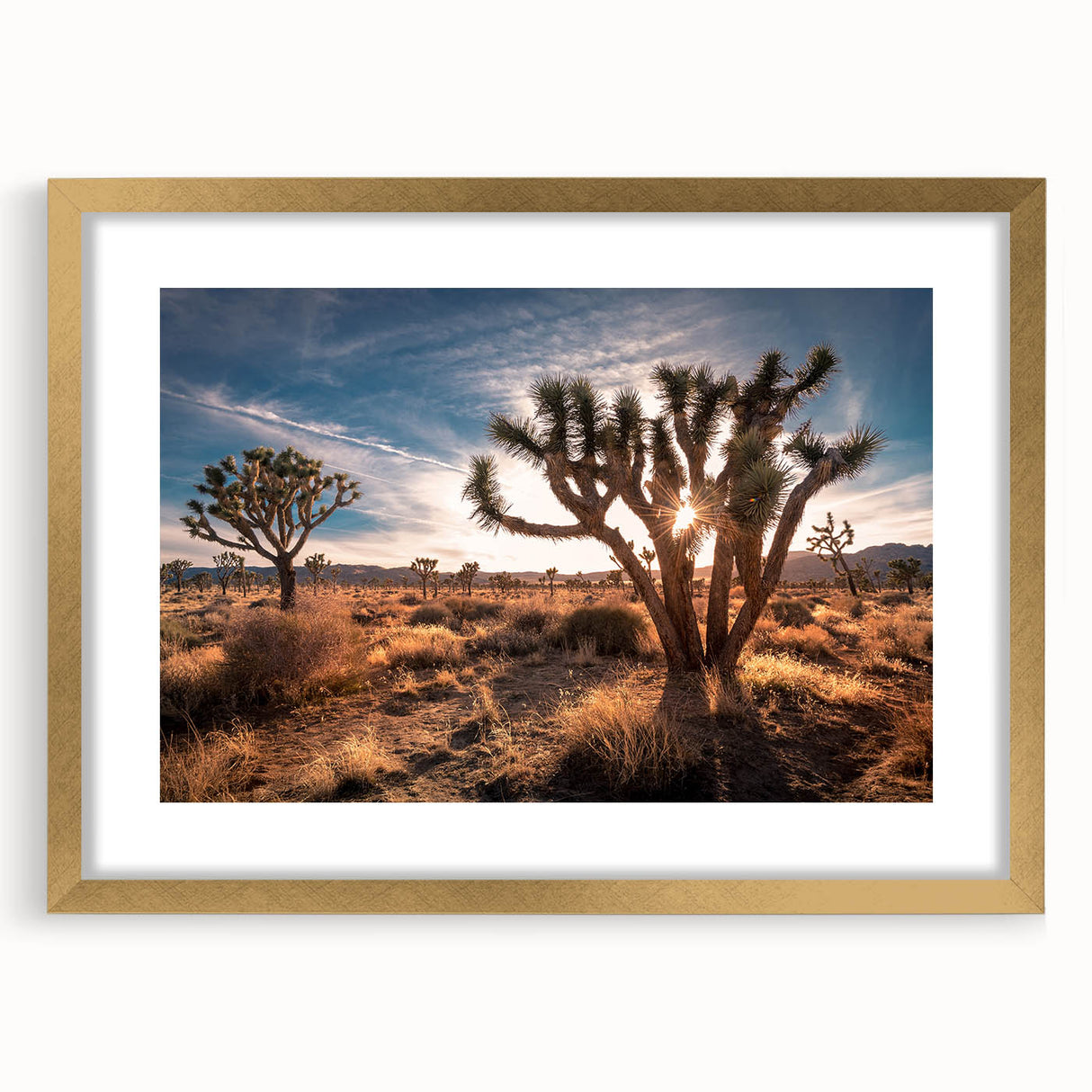 Extra large abstract art print of Joshua Tree, in earthy tones on a textured canvas, framed in gold.