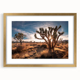Extra large abstract art print of Joshua Tree, in earthy tones on a textured canvas, framed in gold.