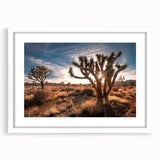 Abstract art print of Joshua Tree in muted earth tones on a framed white canvas, suitable for dining room or bedroom.