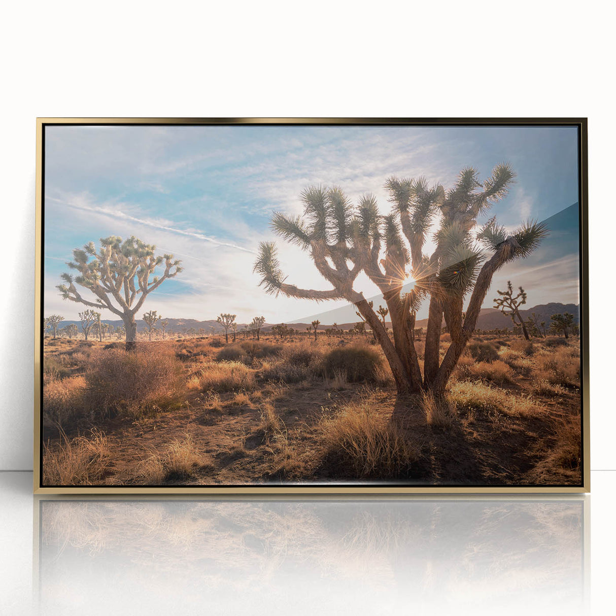 Acrylic print of Joshua Tree, featuring earthy tones and a mid-century modernist style, ideal for nursery wall art.