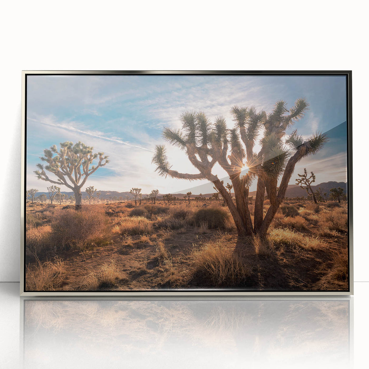 Mid-century modernist art of Joshua Tree landscape in muted earth tones on a silver-framed acrylic print.