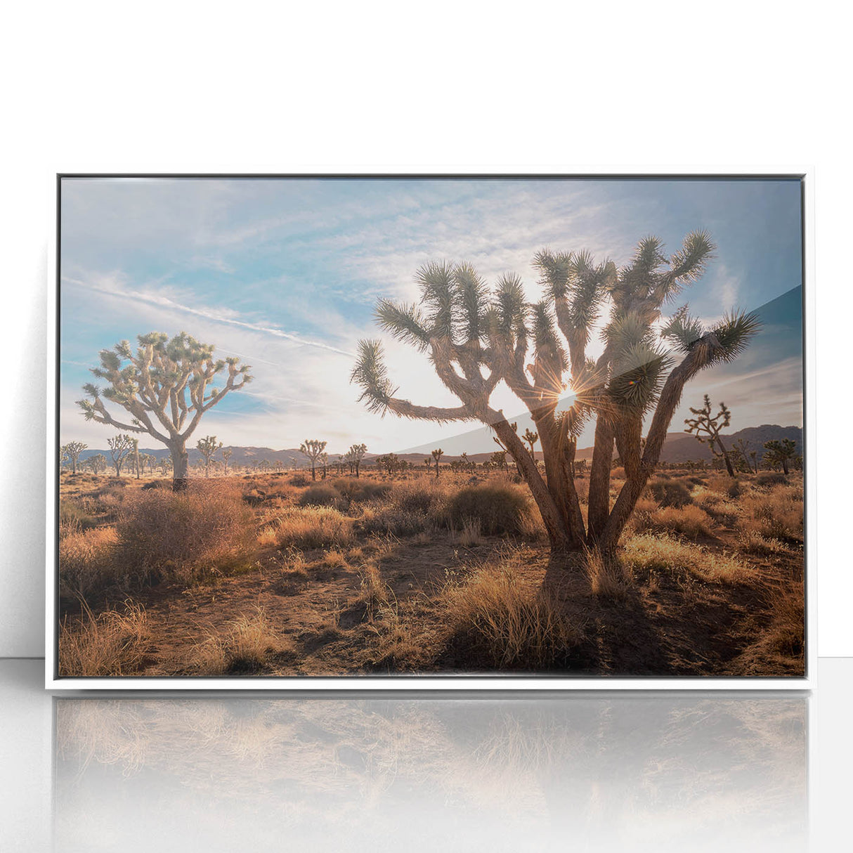 Acrylic print of Joshua Tree in muted earth tones, framed in white, suitable as modern art wall decor or in a nursery.