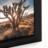 Black wall art featuring a textured close-up of Joshua Trees under a colorful sky, framed canvas.