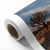 Art deco poster of Joshua Tree, featuring muted earth tones on rolled canvas, ideal for nursery wall art.