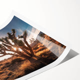 Extra large wall art featuring line art flowers and Joshua Tree scenery in muted earth tones.