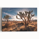 Black and white photograph of Joshua Tree on stretched canvas, suitable as large kitchen art.