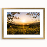 Extra large abstract art print of California's Napa Valley in textured tones of gold and green, framed with a gold mat.