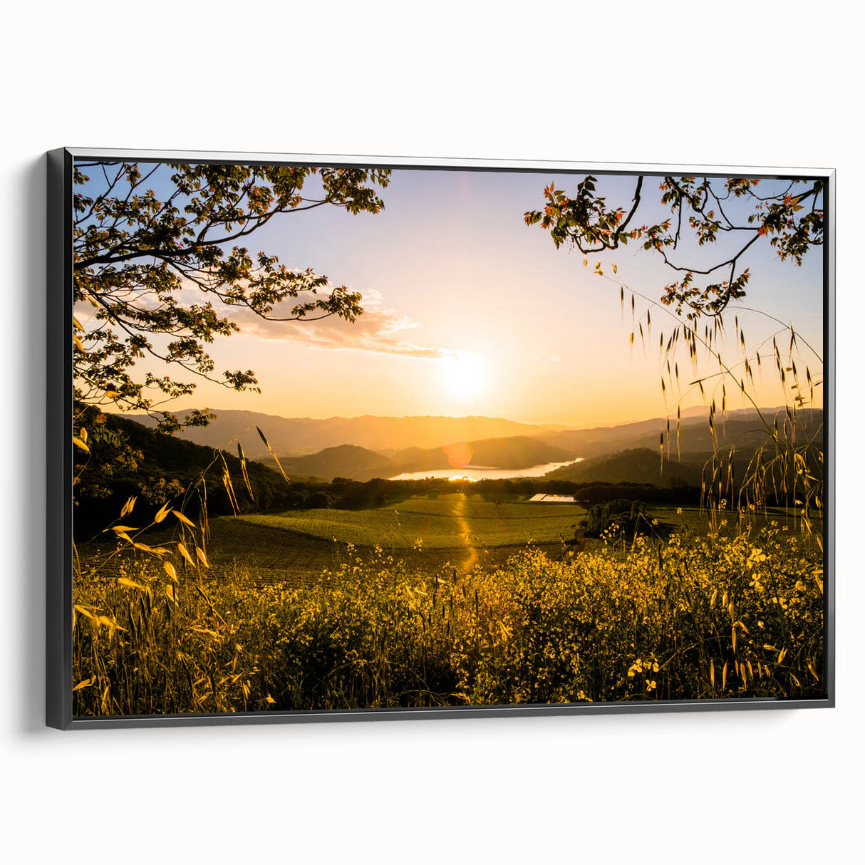 Black and white landscape art painting of Napa Valley on framed canvas, ideal for bedroom wall decor.
