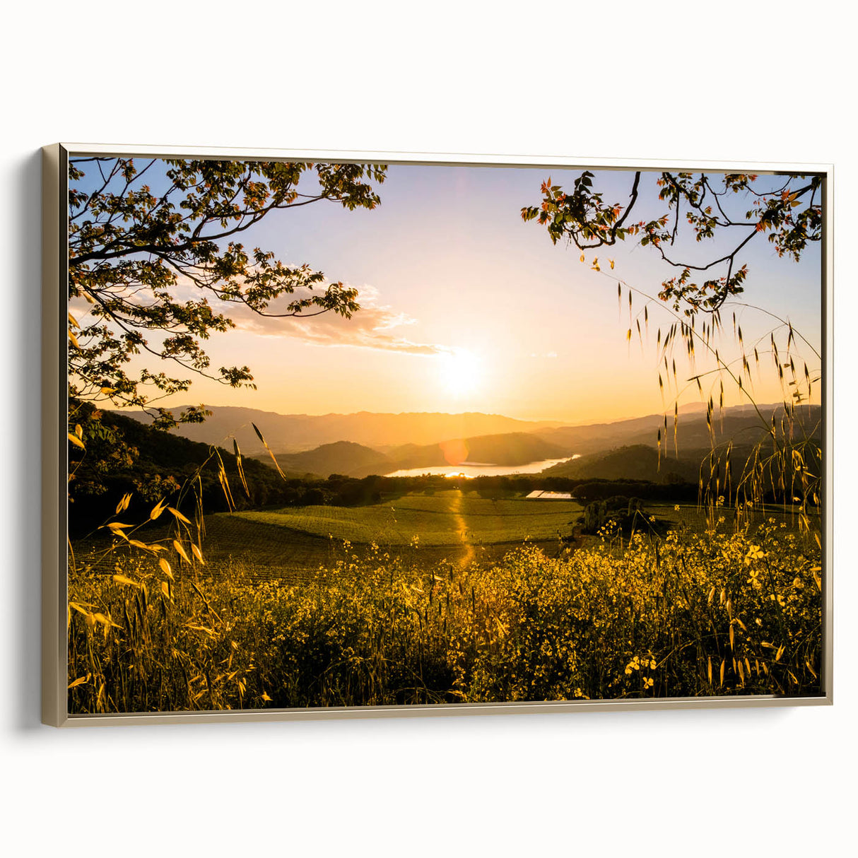 Framed canvas featuring a vintage-style landscape painting of Napa Valley in muted gold and black tones.