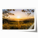 Extra large rolled print of Napa Valley scenery featuring lush vineyards in muted green and earth tones.