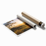 Extra large rolled print of Napa Valley scenery, featuring vibrant green vineyards and soft blue skies.