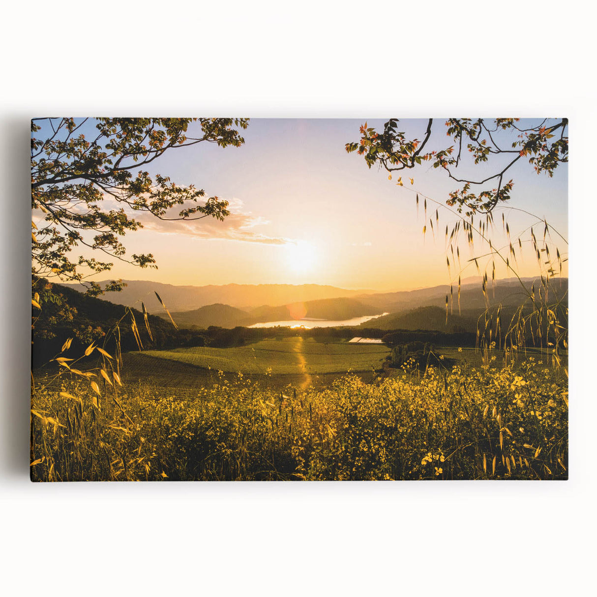 Black and white photo of Napa Valley on stretched canvas, ideal for kitchen wall art.