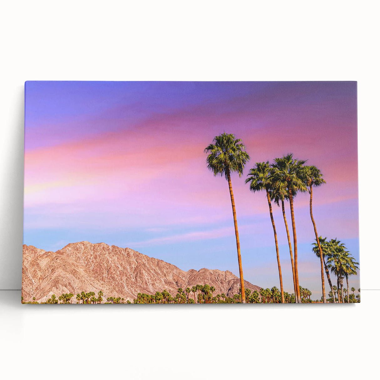 Black and white photograph of Palm Springs with palm trees and mountains on stretched canvas, ideal for kitchen wall art.