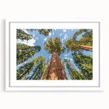 Abstract art print of California's Sequoia in muted earth tones on a framed white mat, ideal for dining room decor.