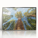 Mid-century modernist art depicting California's Sequoia trees in muted green and brown tones, silver-framed acrylic print.