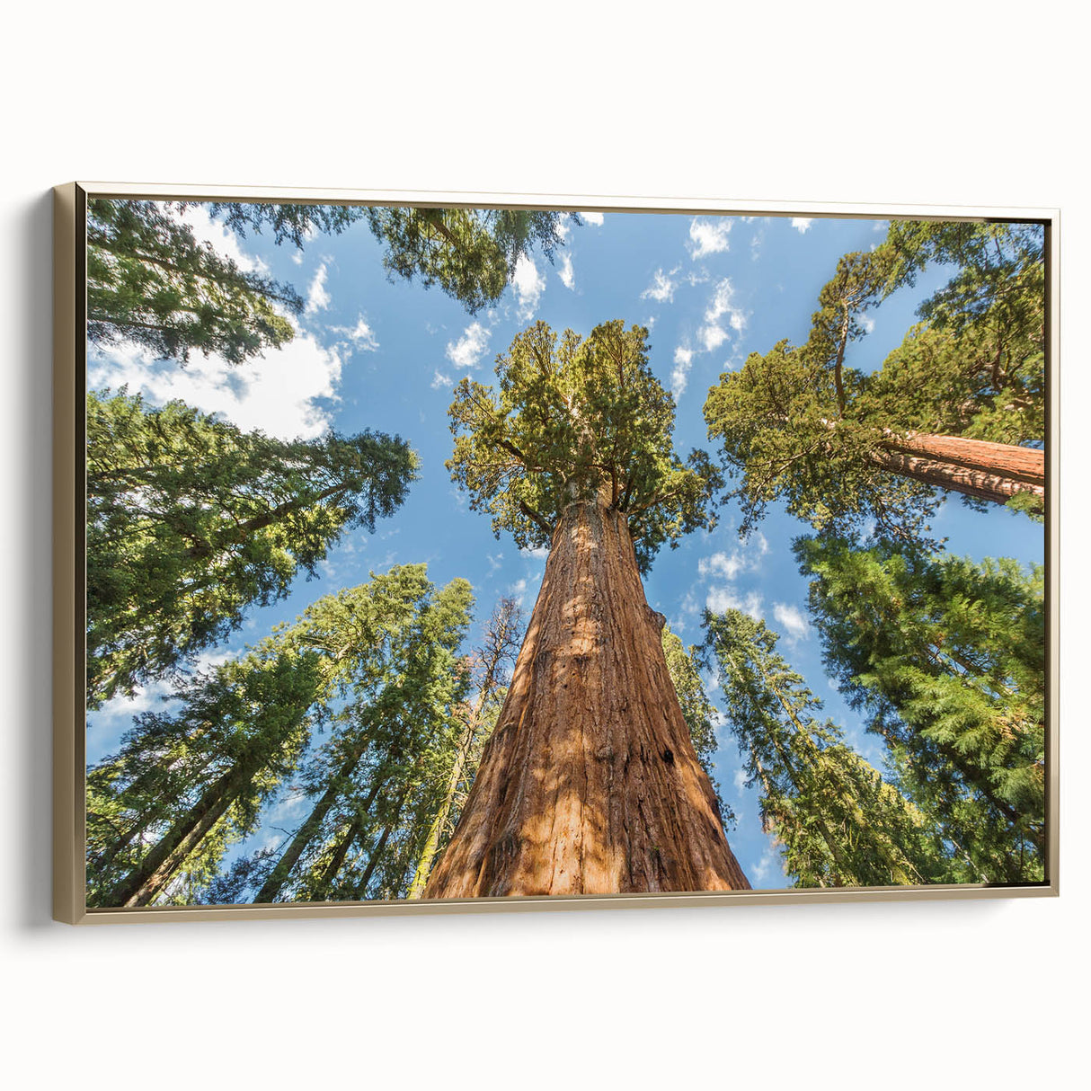 Framed canvas depicting a vintage-style landscape of California's Sequoia National Park in muted earth tones.
