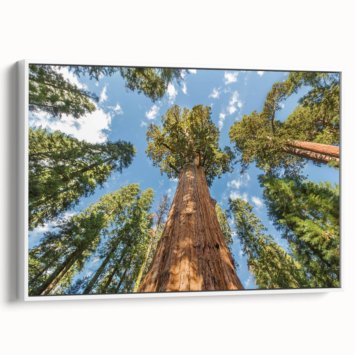 Vintage poster art of Sequoia National Park on extra large framed canvas, featuring muted earth tones.