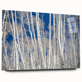 Large abstract wall art of Aspen, Colorado scenery in vibrant autumn colors on acrylic glass.