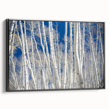 Black and white wall art featuring Aspen, Colorado landscape on framed canvas, suitable for bedroom decor.