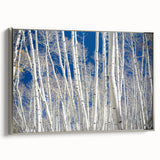 Vintage poster art of a Colorado Aspen landscape on framed canvas, featuring colorful art with black accents.