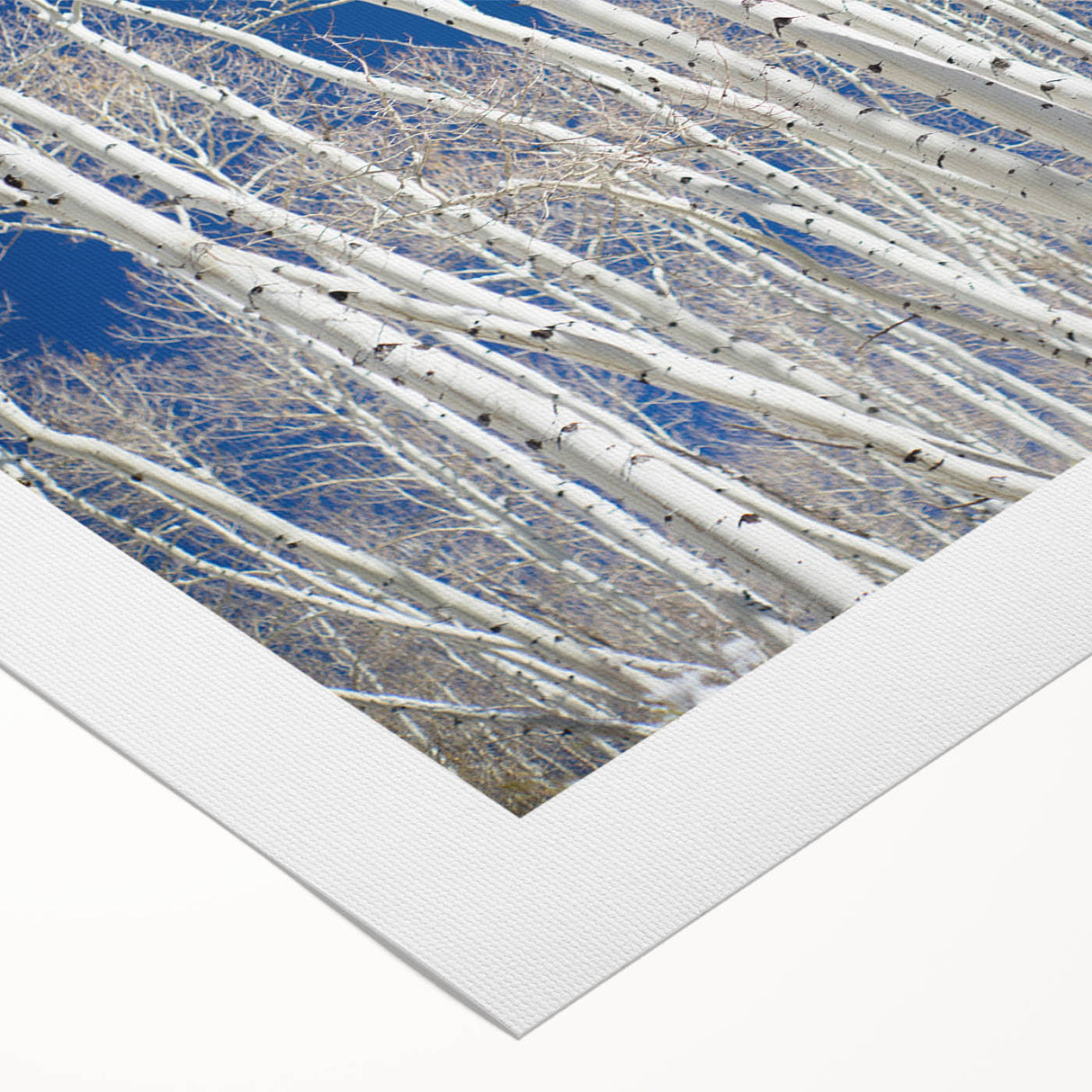 Art deco poster of Aspen, Colorado scenery in muted earth tones on rolled canvas, suitable for dining room wall art.
