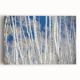 Black and white photo of Aspen trees on stretched canvas, ideal for kitchen wall art.