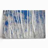 Black and white photograph of Aspen trees on stretched canvas, ideal for kitchen wall art or bedroom decor.